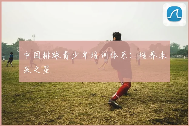 中国排球青少年培训体系:培养未来之星