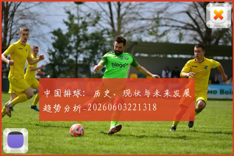 中国排球：历史、现状与未来发展趋势分析_20260603221318