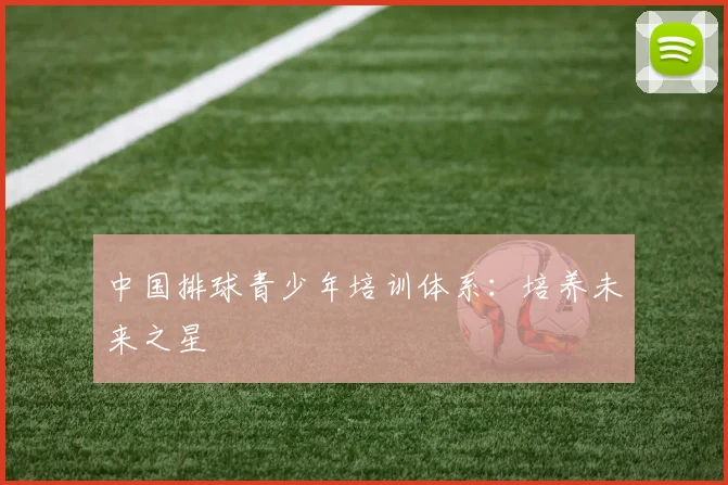中国排球青少年培训体系：培养未来之星