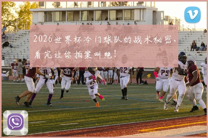 2026世界杯冷门球队的战术秘密，看完让你拍案叫绝！